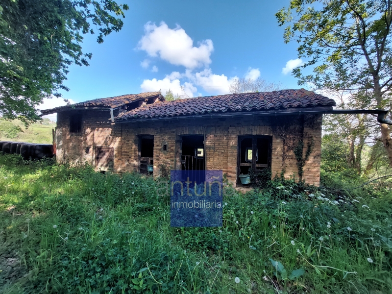 CASA Y FINCA EN LIMANES